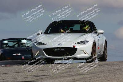 media/Mar-31-2024-Speed Ventures (Sun) [[a3b2bf813d]]/Purple/Session 2 (Grapevine)/